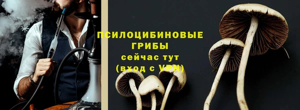 мдпв Нея