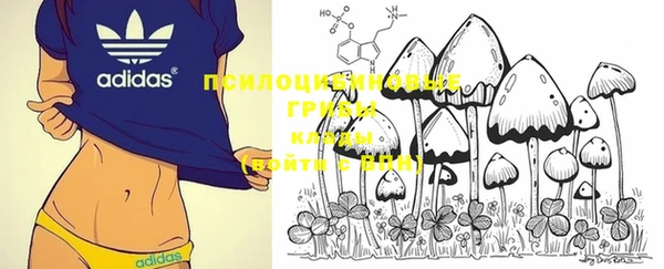 MDMA Premium VHQ Ладушкин