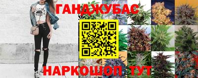 mdpv Дубна