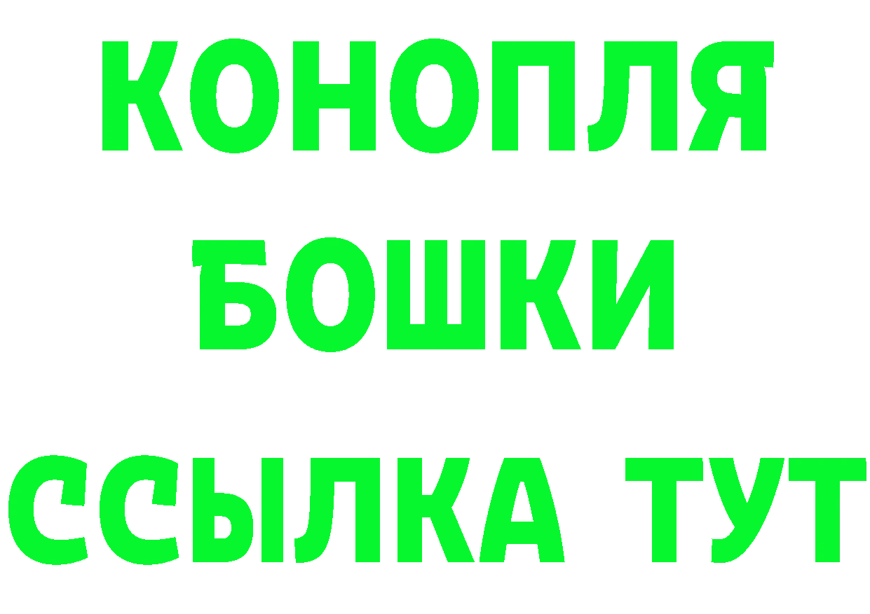 Альфа ПВП СК КРИС сайт это MEGA Крымск