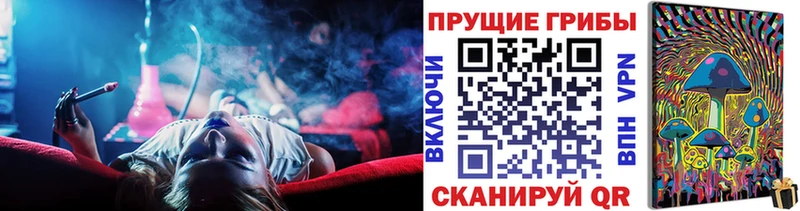 наркота  Крымск  Галлюциногенные грибы Psilocybe 
