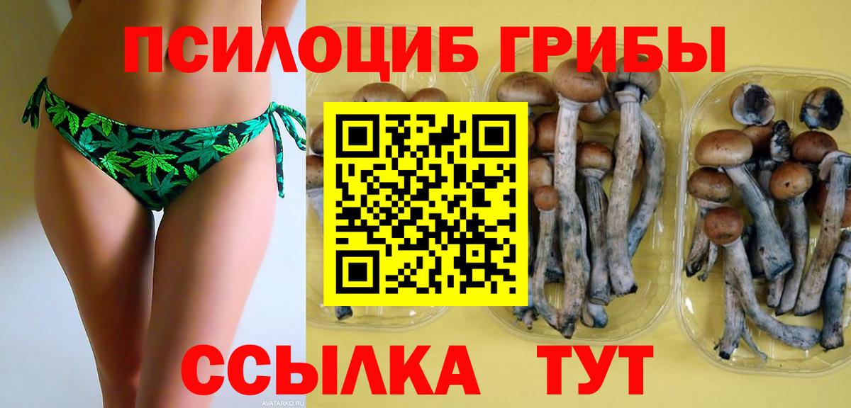 Псилоцибиновые грибы прущие грибы Крымск