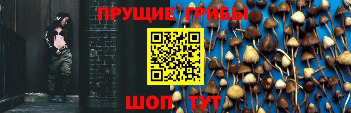 Галлюциногенные грибы MAGIC MUSHROOMS  купить наркотики цена  Крымск  Вход с VPN  Галлюциногенные грибы ЛСД 